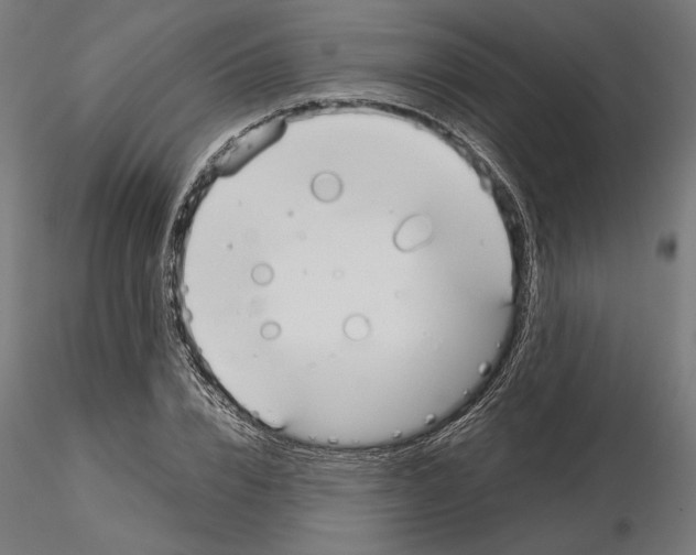 X0000115180832200912091045
