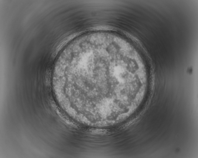 X0000115180833200912091045