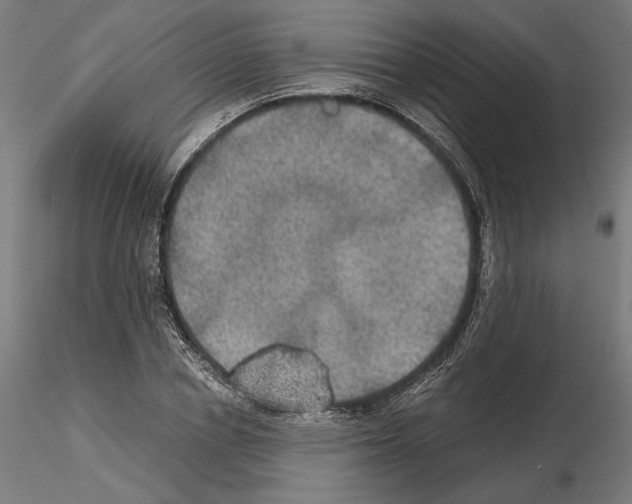 X0000115180834200912091045
