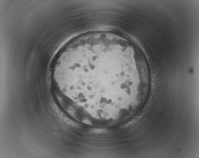 X0000115180835200912091045