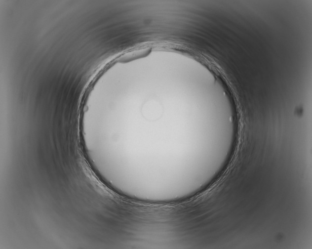 X0000115180836200912091045
