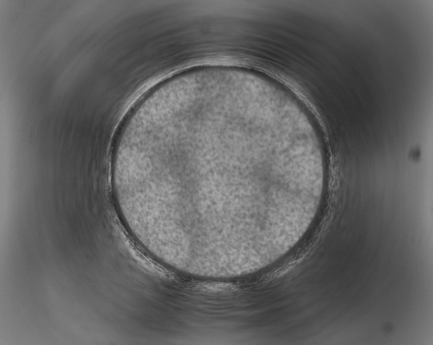 X0000115180837200912091045