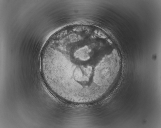 X0000115180838200912091045