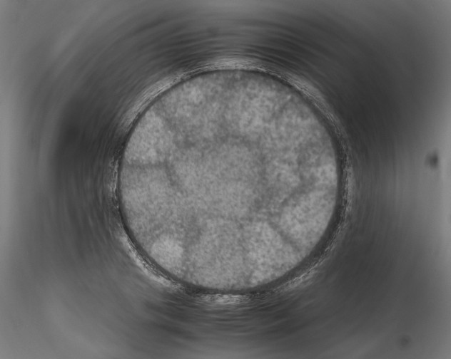 X0000115180841200912091045