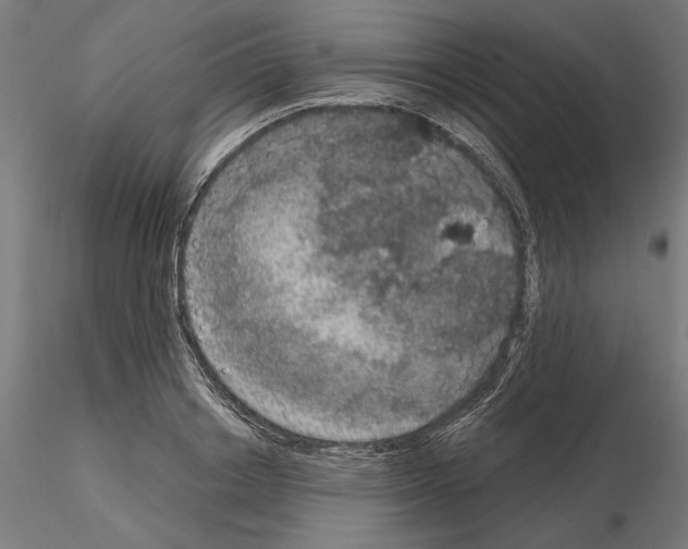 X0000115180842200912091045