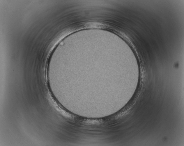 X0000115180843200912091045