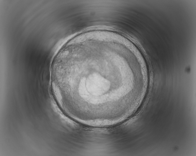 X0000115180844200912091045