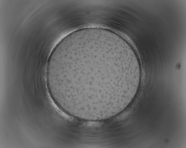 X0000115180847200912091045