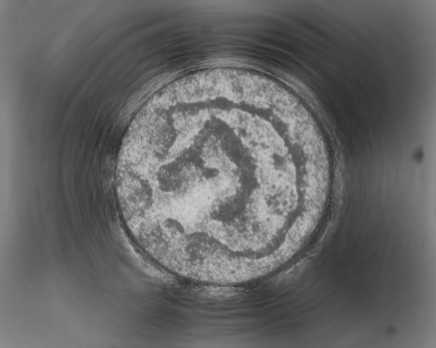 X0000115180849200912091045