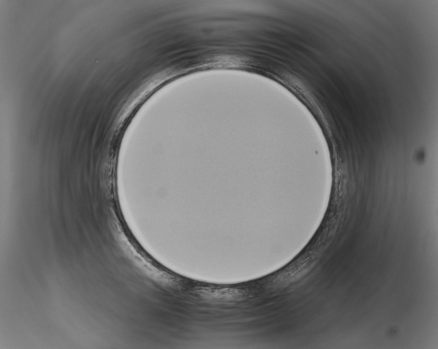 X0000115180851200912091045
