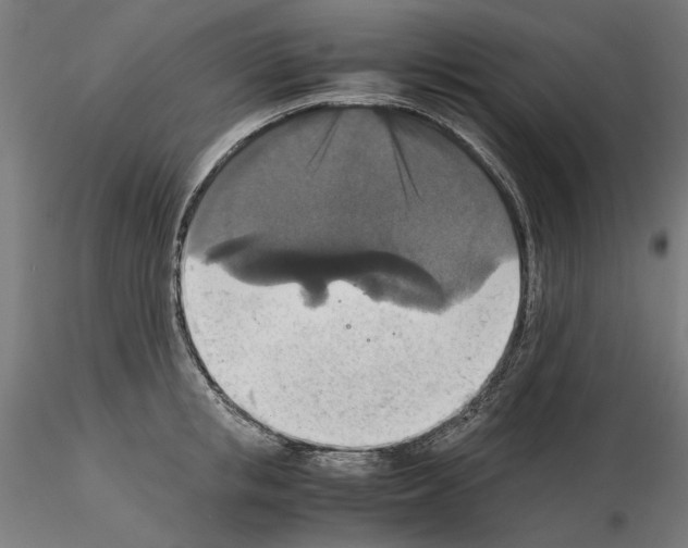 X0000115180853200912091045