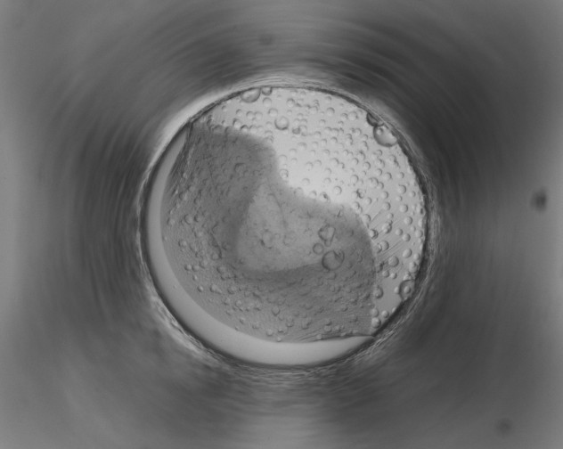 X0000115180854200912091045