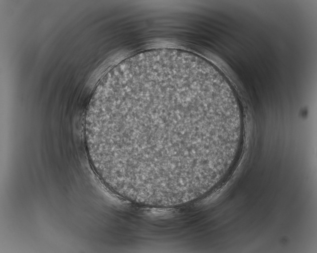 X0000115180857200912091045