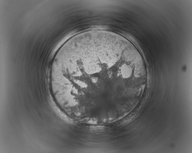 X0000115180859200912091045
