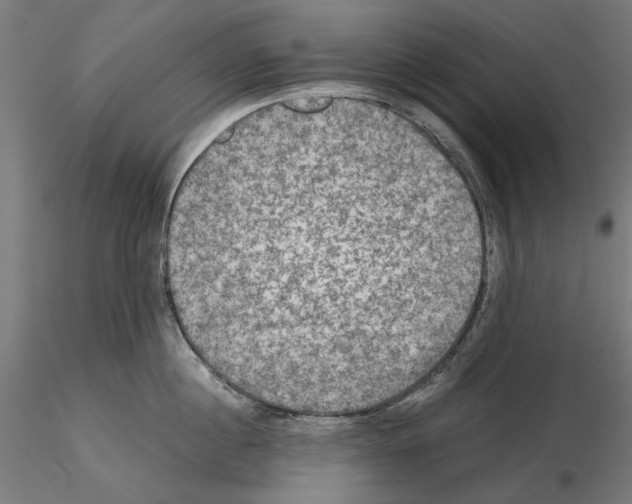 X0000115180860200912091045