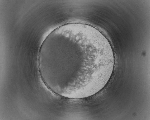 X0000115180863200912091045
