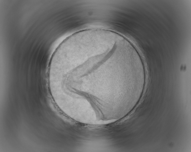 X0000115180864200912091045