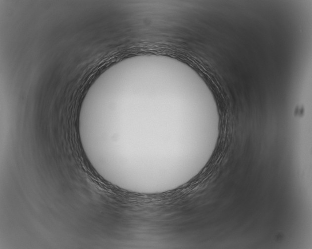 X0000115180865200912091045
