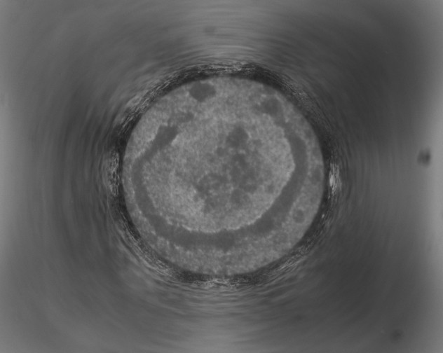 X0000115180867200912091045