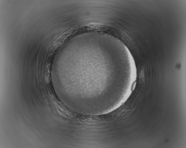 X0000115180868200912091045