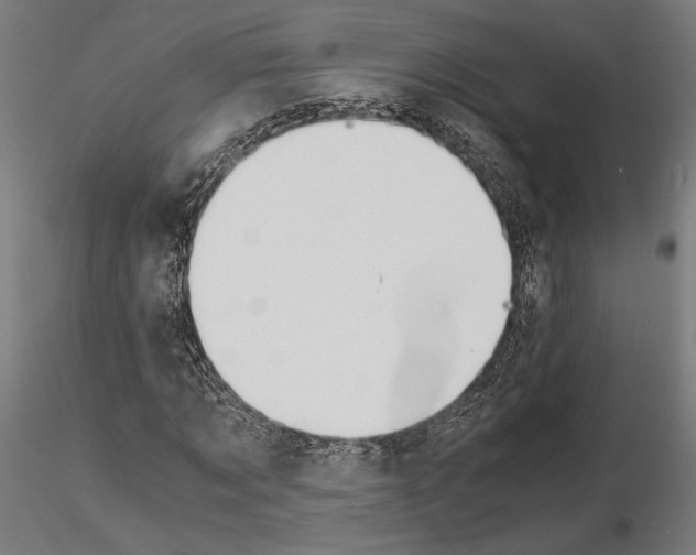 X0000115180869200912091045