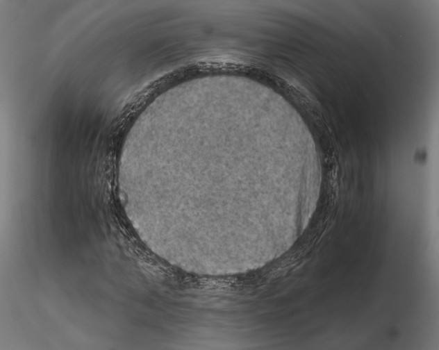 X0000115180870200912091045