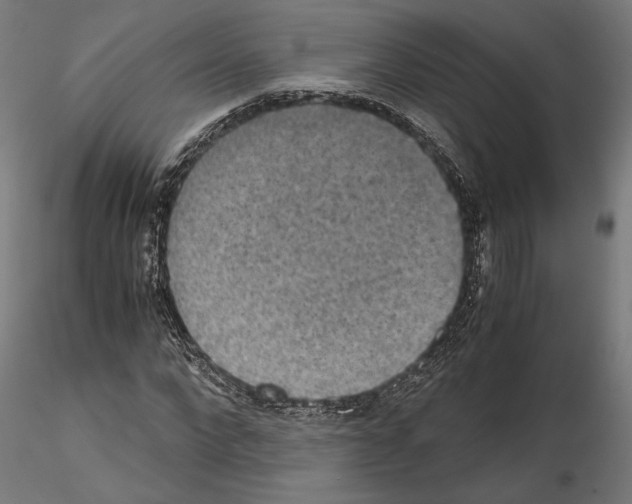 X0000115180872200912091045