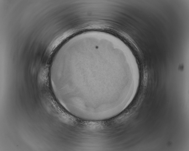 X0000115180874200912091044
