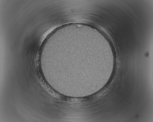 X0000115180875200912091044