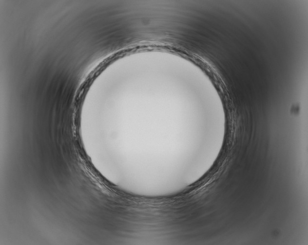X0000115180878200912091044