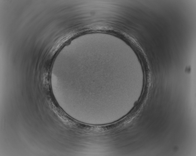 X0000115180881200912091044