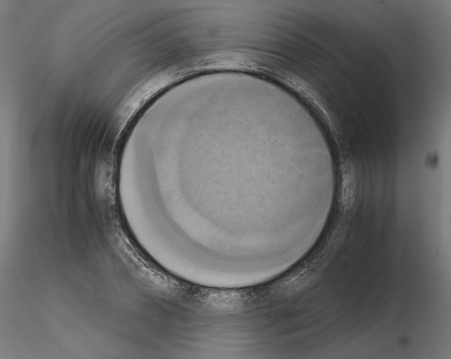 X0000115180882200912091044