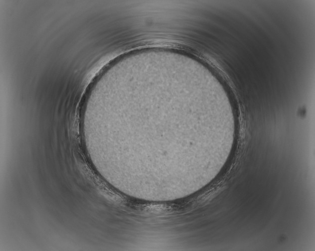 X0000115180883200912091044