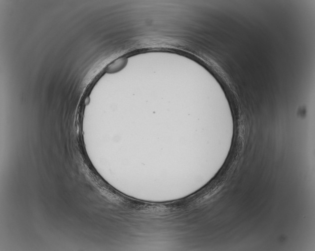 X0000115180885200912091044