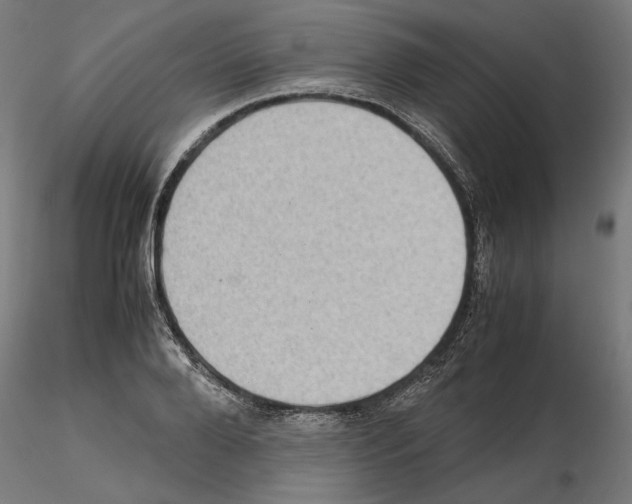 X0000115180888200912091044