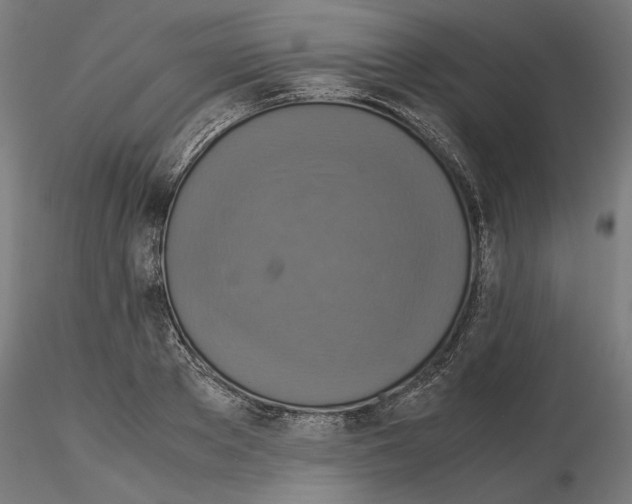 X0000115180889200912091044