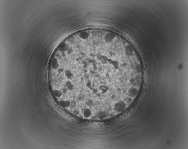 X0000115180891200912091044