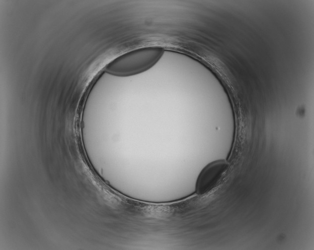 X0000115180893200912091044