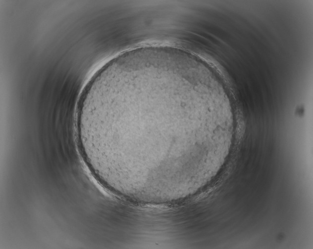 X0000115180894200912091044