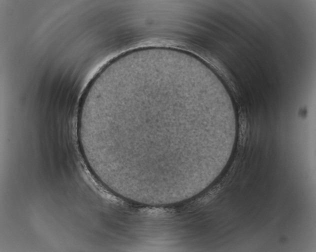 X0000115180896200912091044