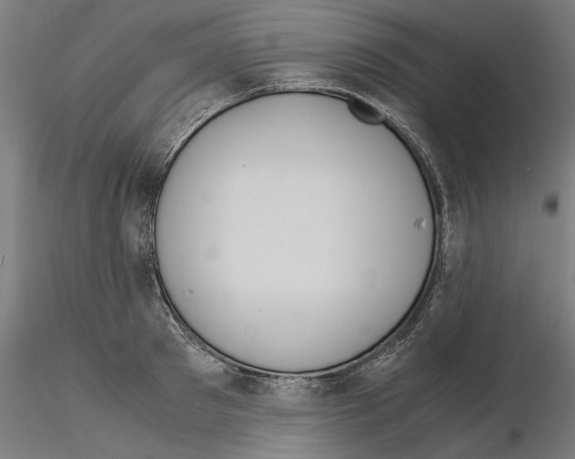 X0000115180897200912091044