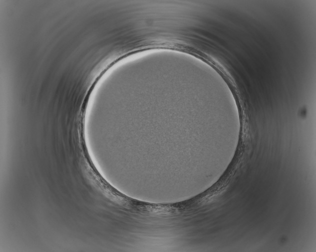 X0000115180899200912091044