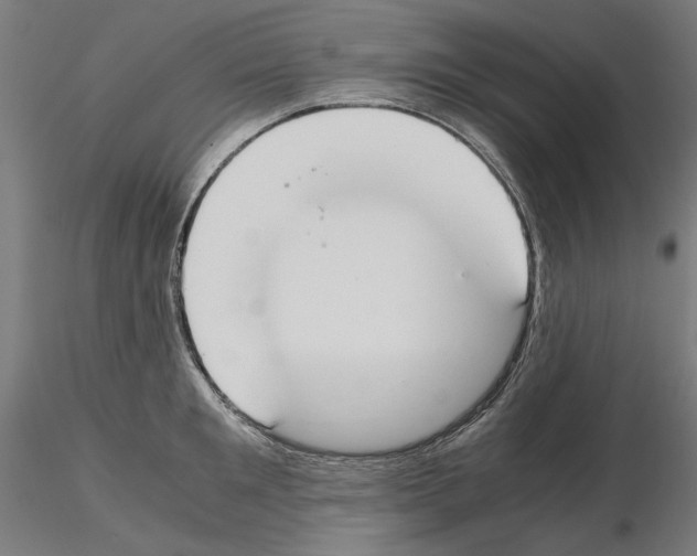 X0000115180901200912091044