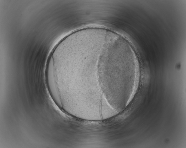 X0000115180902200912091044