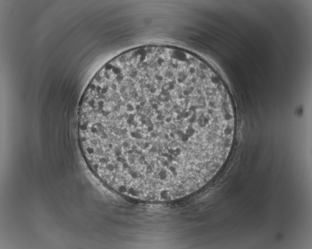 X0000115180903200912091044