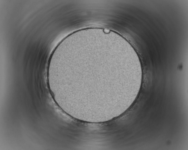 X0000115180904200912091044