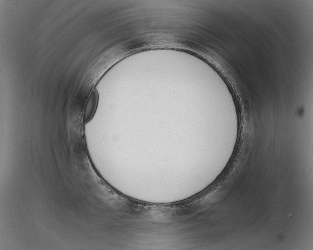 X0000115180905200912091044