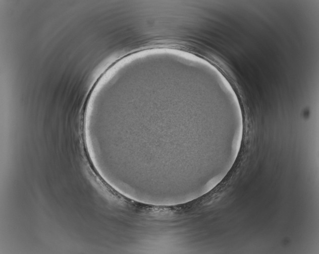 X0000115180907200912091044