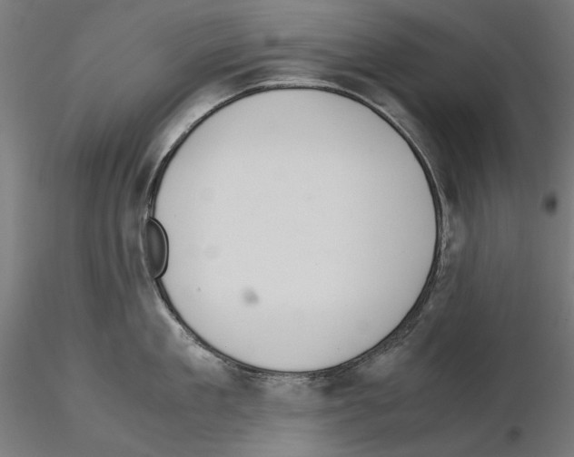 X0000115180909200912091044