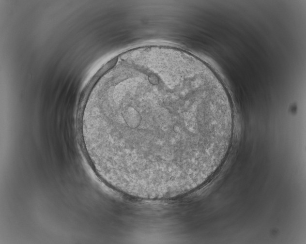 X0000115180910200912091044